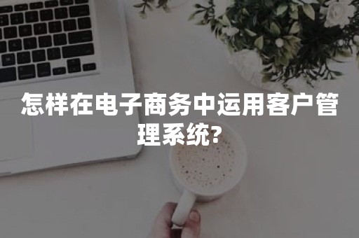 怎样在电子商务中运用客户管理系统?