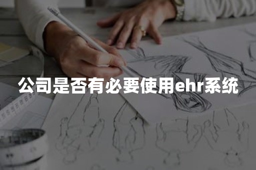 公司是否有必要使用ehr系统