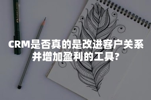 CRM是否真的是改进客户关系并增加盈利的工具?