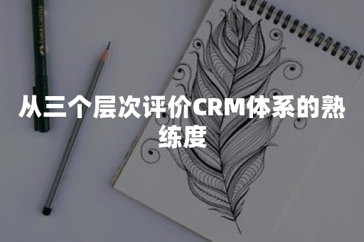 从三个层次评价CRM体系的熟练度