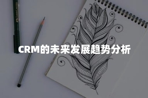 CRM的未来发展趋势分析