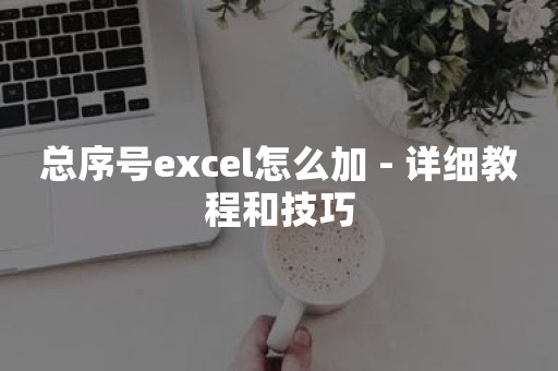 总序号excel怎么加 - 详细教程和技巧