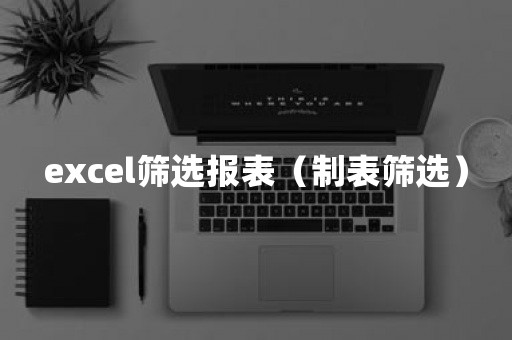 excel筛选报表（制表筛选）