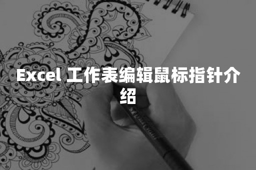 Excel 工作表编辑鼠标指针介绍