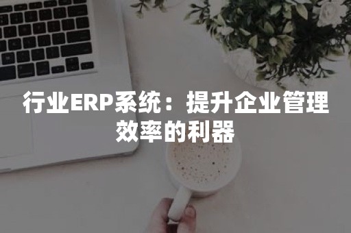 行业ERP系统：提升企业管理效率的利器