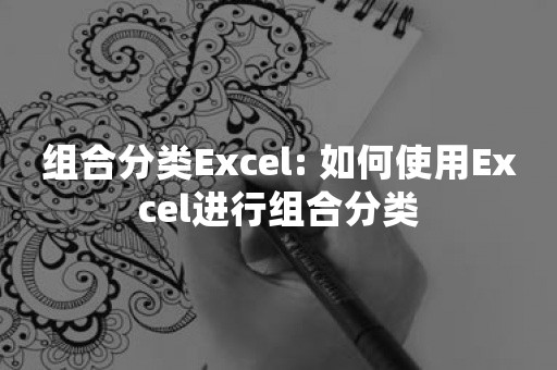 组合分类Excel: 如何使用Excel进行组合分类