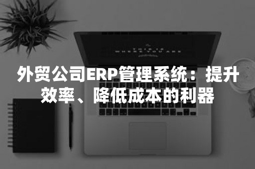 外贸公司ERP管理系统：提升效率、降低成本的利器