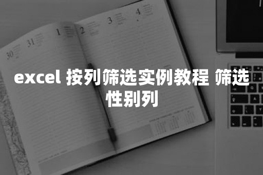 excel 按列筛选实例教程 筛选性别列