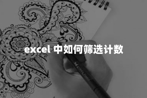 excel 中如何筛选计数