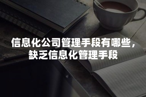 信息化公司管理手段有哪些，缺乏信息化管理手段