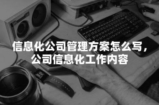 信息化公司管理方案怎么写，公司信息化工作内容