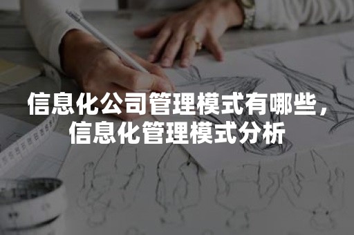 信息化公司管理模式有哪些，信息化管理模式分析