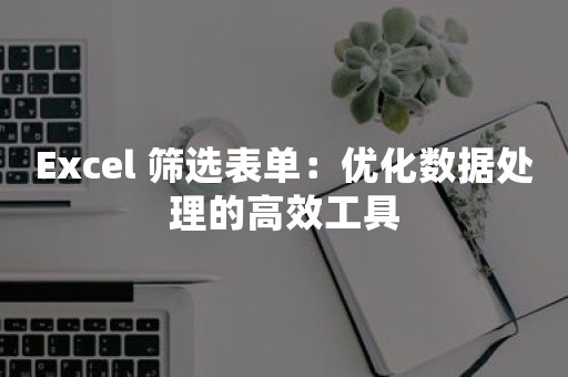 Excel 筛选表单：优化数据处理的高效工具