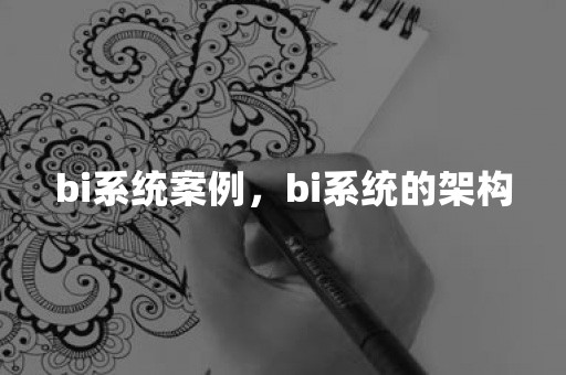 bi系统案例，bi系统的架构