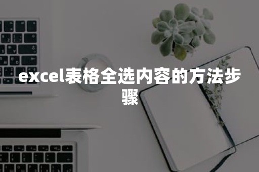 excel表格全选内容的方法步骤