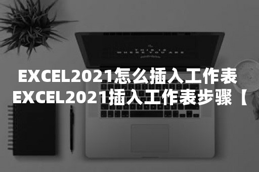 EXCEL2021怎么插入工作表 EXCEL2021插入工作表步骤【操作方法】