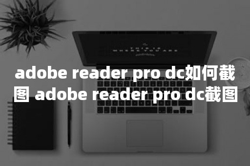 adobe reader pro dc如何截图 adobe reader pro dc截图操作方法