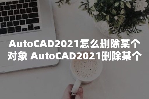 AutoCAD2021怎么删除某个对象 AutoCAD2021删除某个对象教程