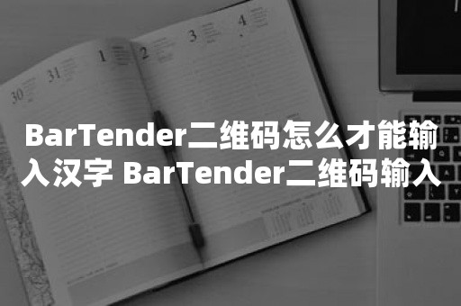 BarTender二维码怎么才能输入汉字 BarTender二维码输入汉字的方法