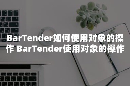 BarTender如何使用对象的操作 BarTender使用对象的操作方法