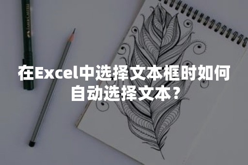 在Excel中选择文本框时如何自动选择文本？