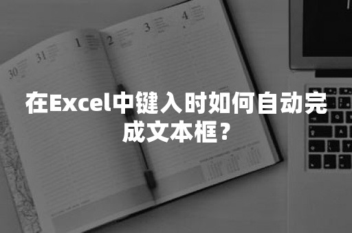 在Excel中键入时如何自动完成文本框？