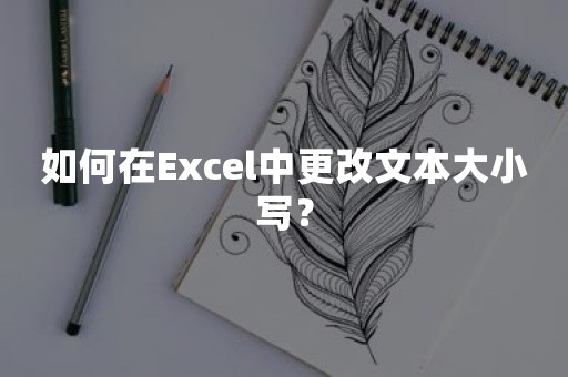 如何在Excel中更改文本大小写？