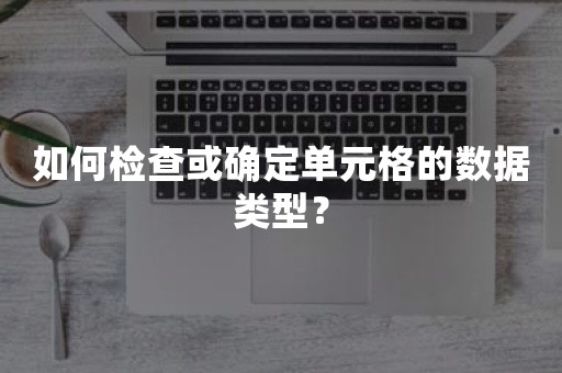 如何检查或确定单元格的数据类型？