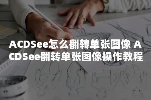 ACDSee怎么翻转单张图像 ACDSee翻转单张图像操作教程