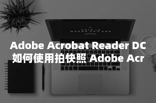 Adobe Acrobat Reader DC如何使用拍快照 Adobe Acrobat Reader DC使用拍快照的方法