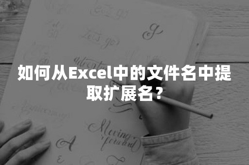 如何从Excel中的文件名中提取扩展名？