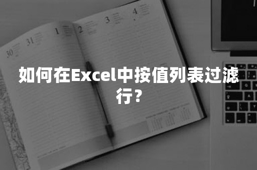 如何在Excel中按值列表过滤行？