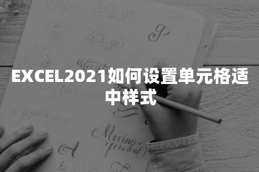 EXCEL2021如何设置单元格适中样式