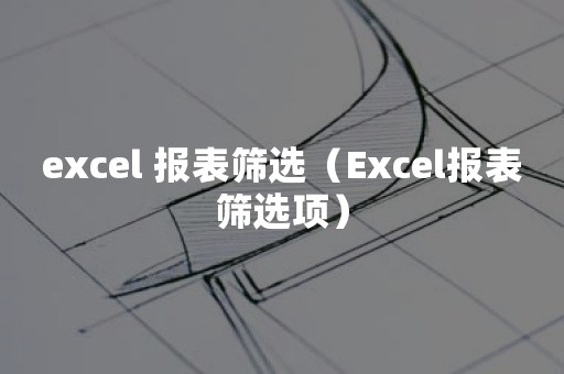 excel 报表筛选（Excel报表筛选项）