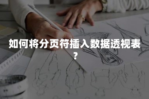 如何将分页符插入数据透视表？