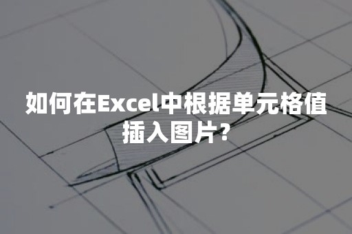 如何在Excel中根据单元格值插入图片？