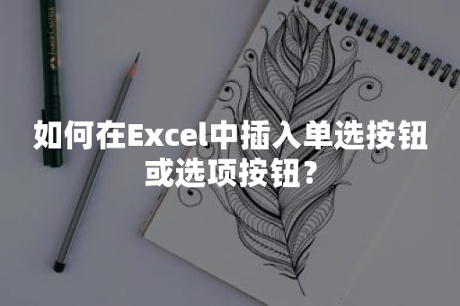 如何在Excel中插入单选按钮或选项按钮？