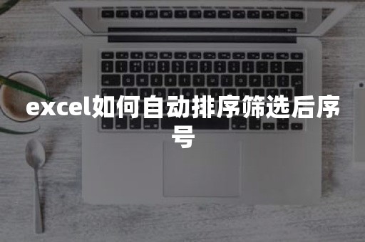 excel如何自动排序筛选后序号