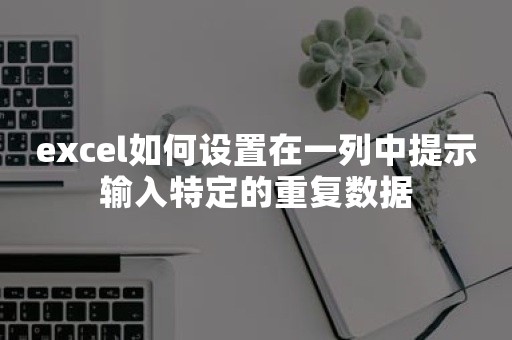 excel如何设置在一列中提示输入特定的重复数据