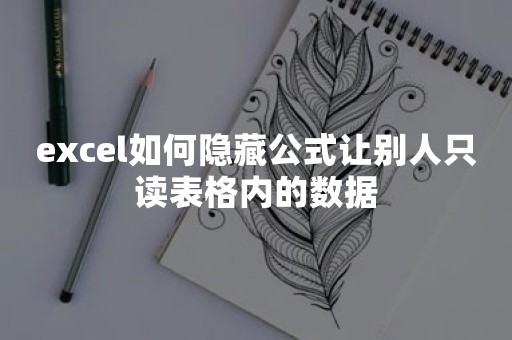 excel如何隐藏公式让别人只读表格内的数据