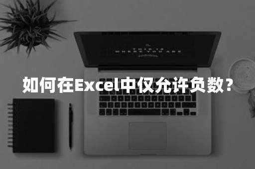 如何在Excel中仅允许负数？