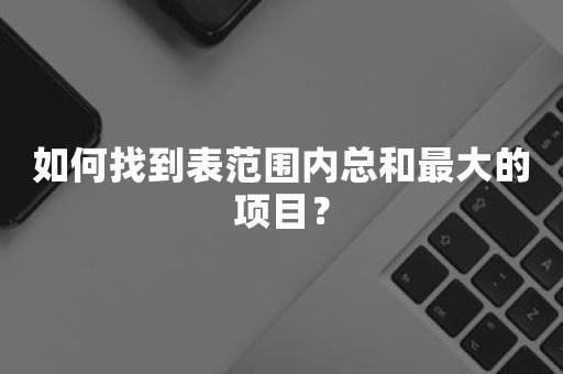 如何找到表范围内总和最大的项目？