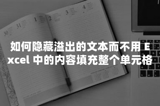 如何隐藏溢出的文本而不用 Excel 中的内容填充整个单元格？