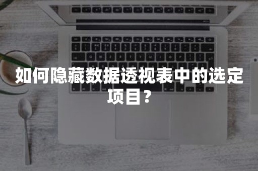 如何隐藏数据透视表中的选定项目？