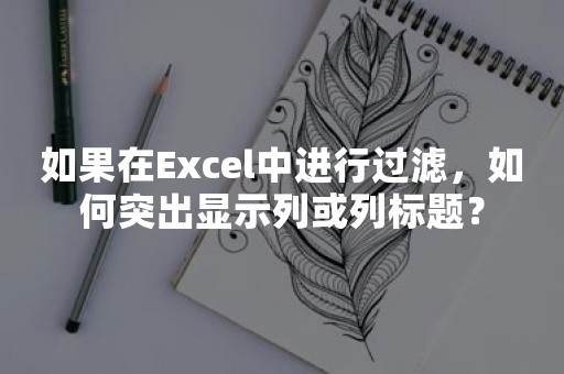 如果在Excel中进行过滤，如何突出显示列或列标题？