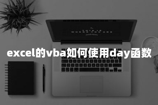 excel的vba如何使用day函数