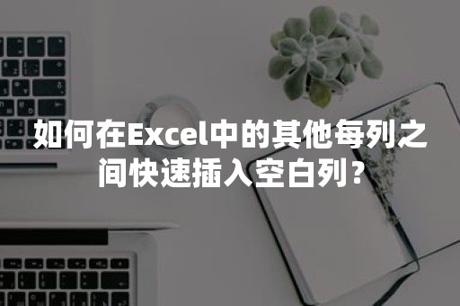 如何在Excel中的其他每列之间快速插入空白列？