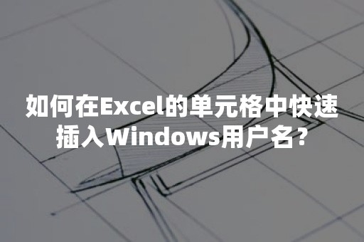 如何在Excel的单元格中快速插入Windows用户名？