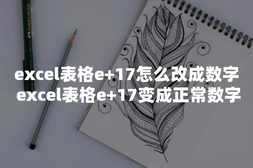 excel表格e+17怎么改成数字 excel表格e+17变成正常数字操作方法