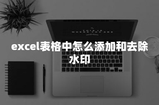 excel表格中怎么添加和去除水印